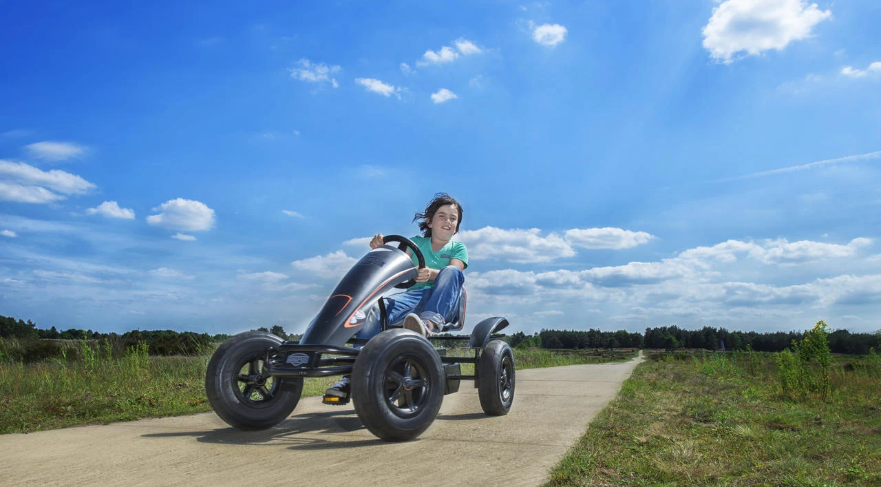 BERG Skelter XXL Black Edition E-BFR-3 11 BERG Skelter XXL Black Edition E-BFR-3 - Afbeelding 9