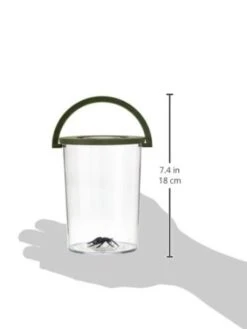 Scout 19380 Reuze Insectenbeker Met Vergrootglas Scouting Outdoor -Buitenspeelgoed Winkel insecten beker vergrootglas scout 19380 3
