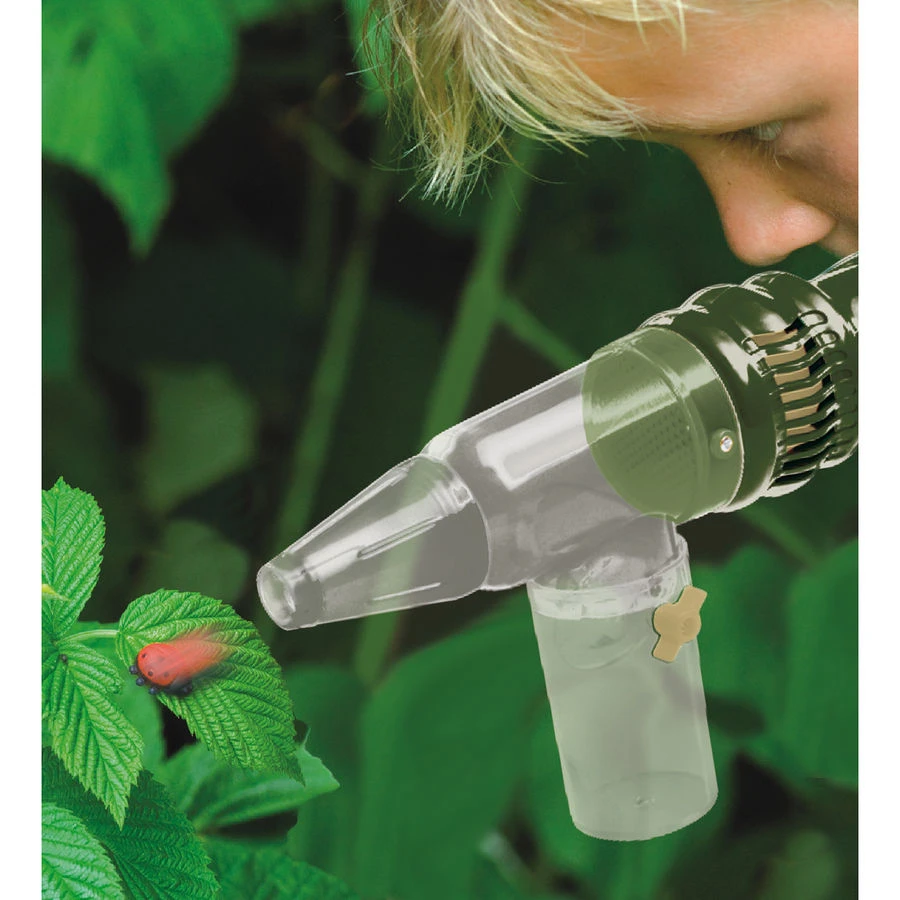 Scout – Insectenvanger 5 Scout – Insectenvanger - Afbeelding 3
