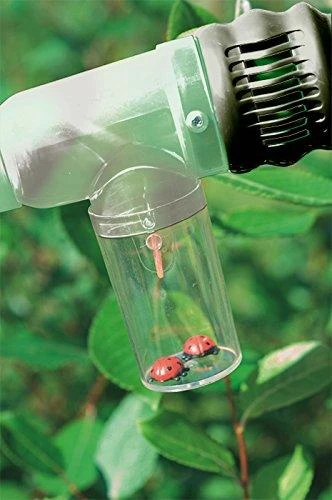 Scout – Insectenvanger 6 Scout – Insectenvanger - Afbeelding 4