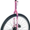 Kettler Eenwieler Pink Flower 20inch -Buitenspeelgoed Winkel kettler eenwieler pink flower 20inch circusfiets eenwielfiets