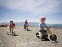 Wishbonebike 3-in-1 Loopfiets 13 Wishbonebike 3-in-1 Loopfiets -Buitenspeelgoed Winkel loopfiets wishbone bike 4