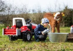 RollyToys Rolly Melkbussen -Buitenspeelgoed Winkel rolly toys rolly toys 408894 rolly rollybox melkbussen 4 1