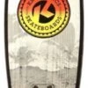 Skateboard Kryptonics Fade Gray 27″ Skaten 2 Skateboard Kryptonics Fade Gray 27″ Skaten -Buitenspeelgoed Winkel skateboard kryptonocs fade gray