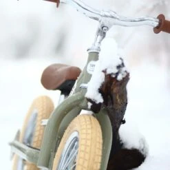 Trybike Steel Green 2in1 Loopfiets Vintage Groen 18 Trybike Steel Green 2in1 Loopfiets Vintage Groen -Buitenspeelgoed Winkel trybike vintage green 1