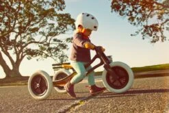 Wishbonebike Recycled Edition 3-in-1 Loopfiets 10 Wishbonebike Recycled Edition 3-in-1 Loopfiets -Buitenspeelgoed Winkel wishbonebike recycled3 in 1 5